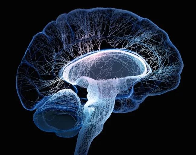 How many megabytes of data can the human mind hold?